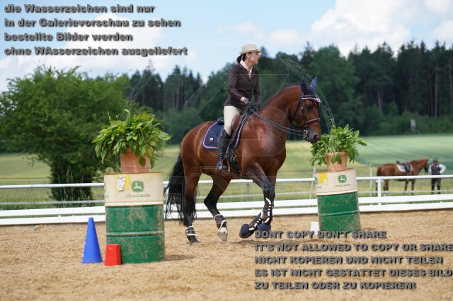 s_K3F06352.JPG